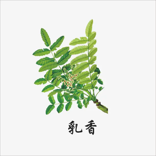 活血化瘀药