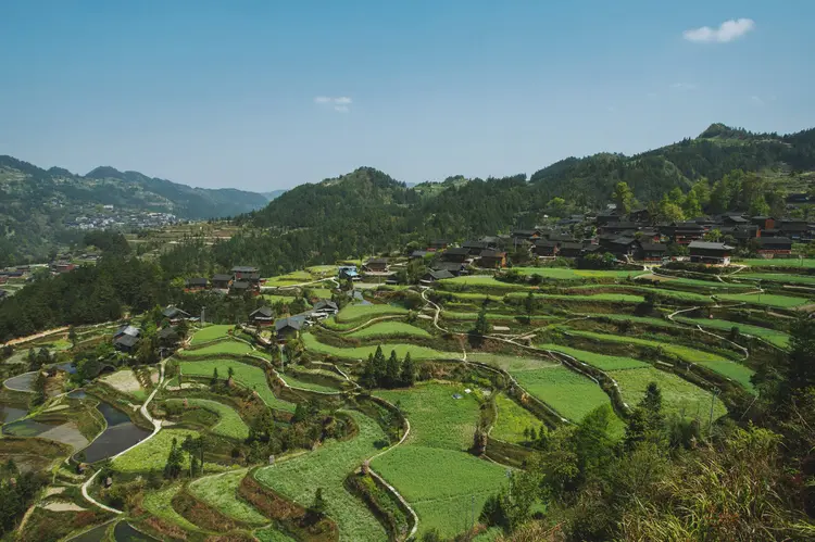 雷山县