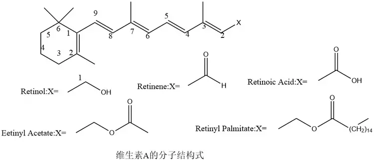 维生素