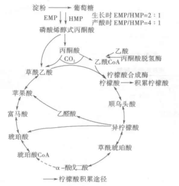 柠檬酸