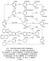 对苯二甲酸