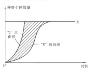 种群