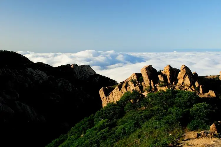 青岛西海岸新区