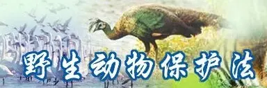 生物资源