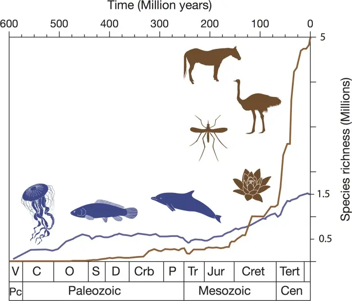 生物多样性