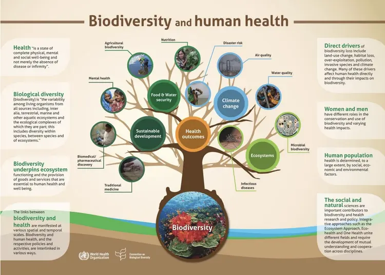 生物多样性