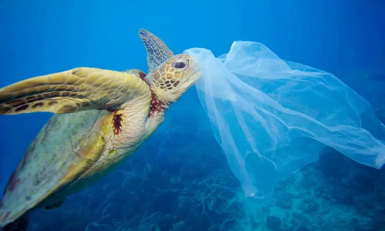 生物多样性