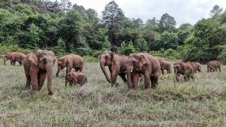 生物多样性