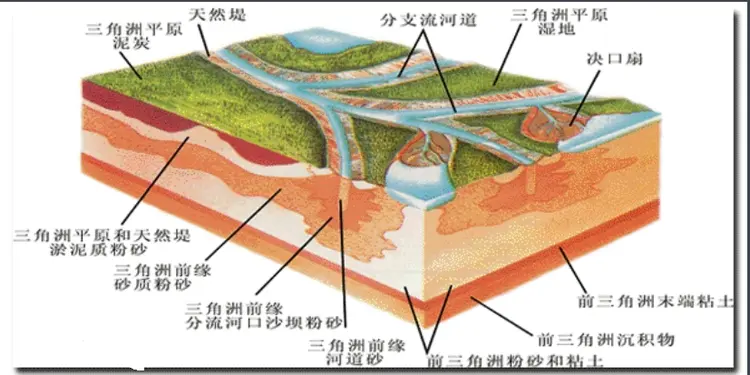 三角洲