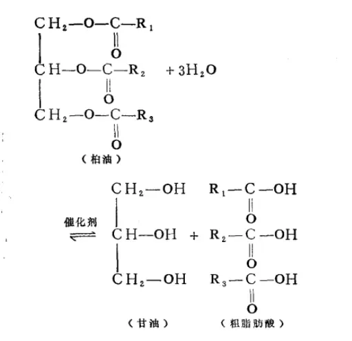 软脂酸