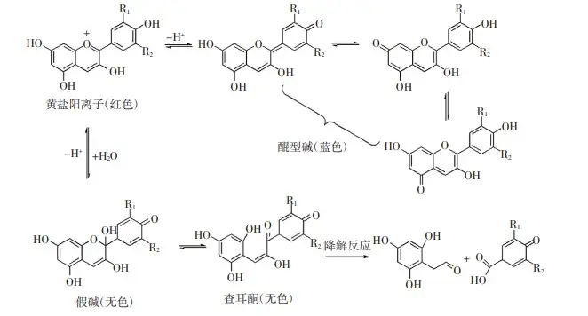 花青素