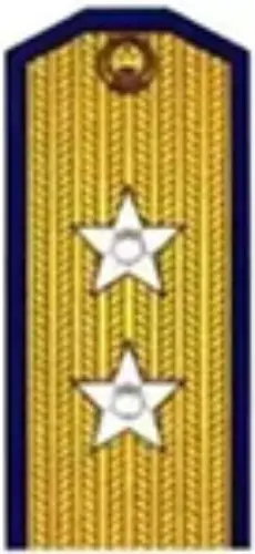 中将