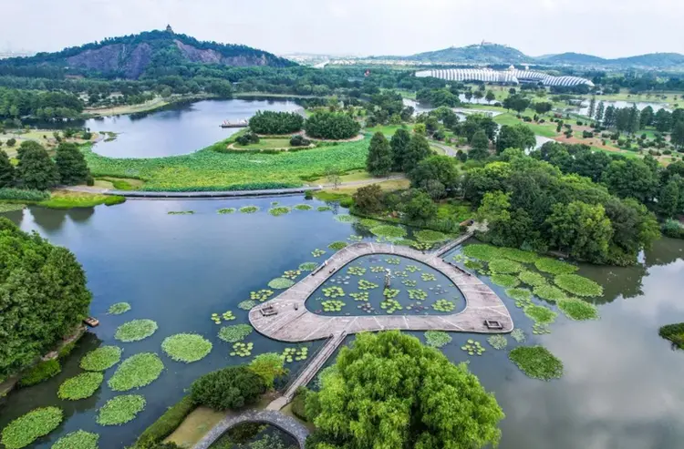 松江区